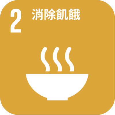 SDG2圖片