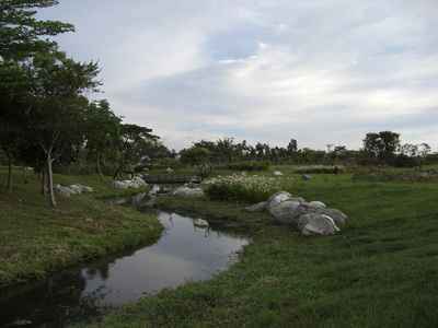 Ecological WaterwayImage