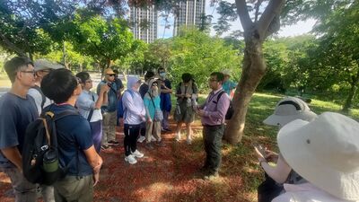 「樹木健檢與病蟲害防治環境教育工作坊」 跨校交流守護綠資源 強化校園安全與永續意識圖片